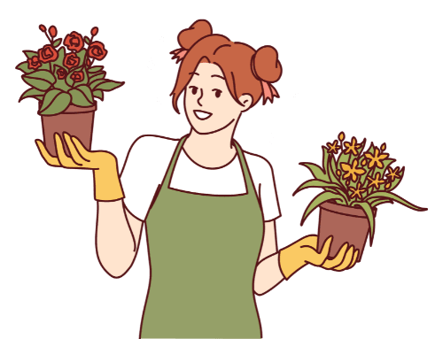 Cover Image for Types of Succulents