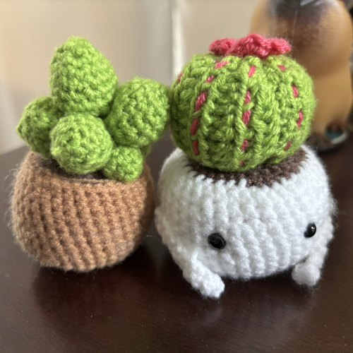 Cover for Crochet Succulent Ideas