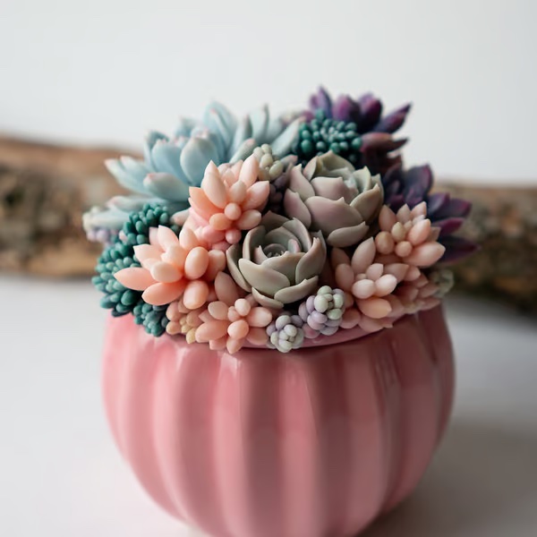 Cover for 5 Unique Gift Ideas for Succulent Lovers