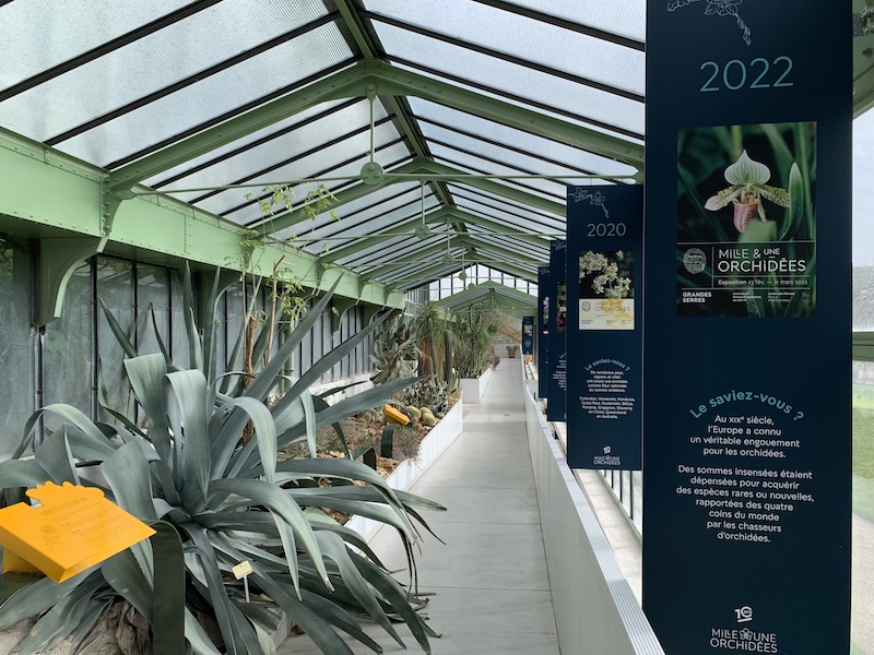 Cover for Succulent Greenhouse inside Jardin des Plantes (Paris, France)