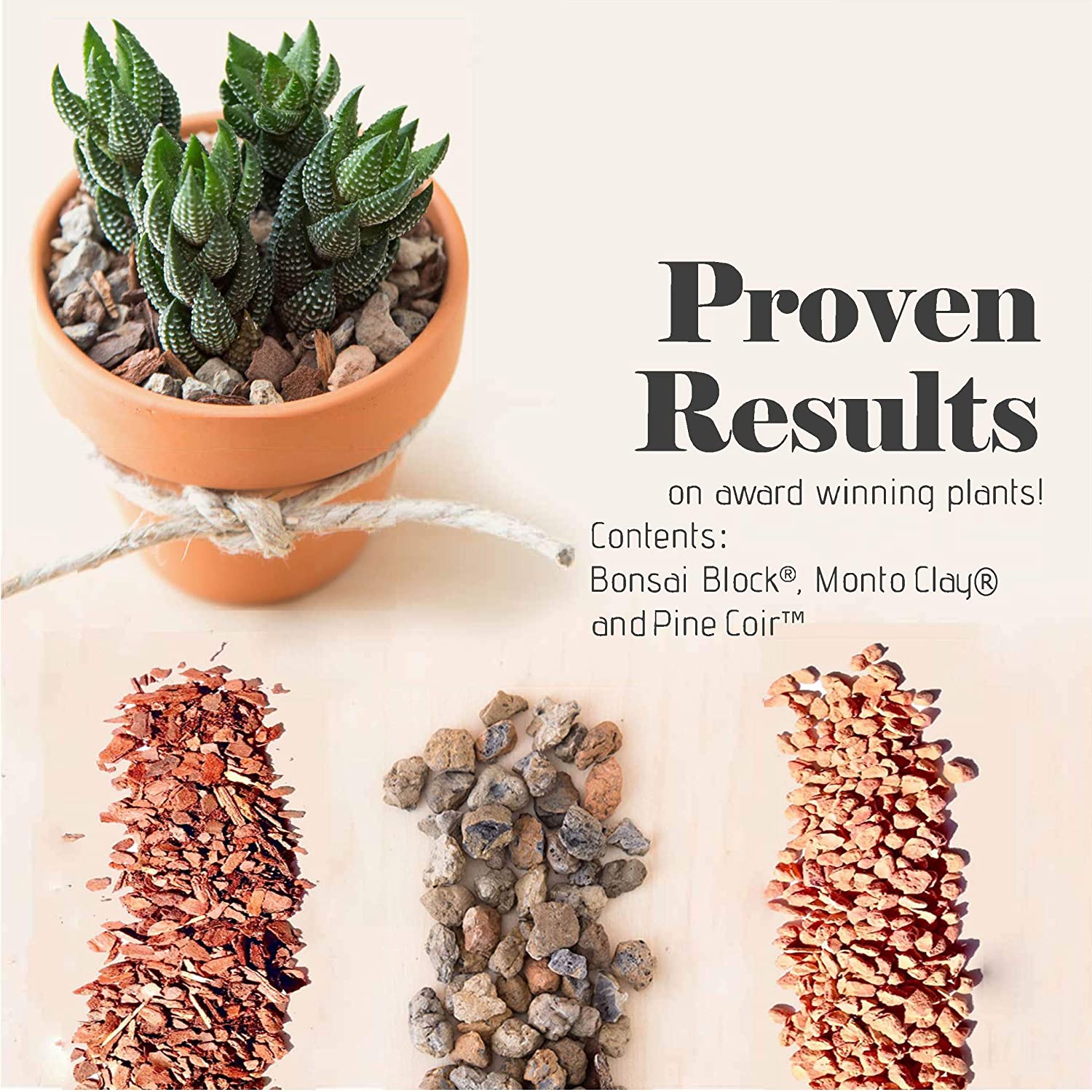 Cover for My Favorite Tools For Succulents