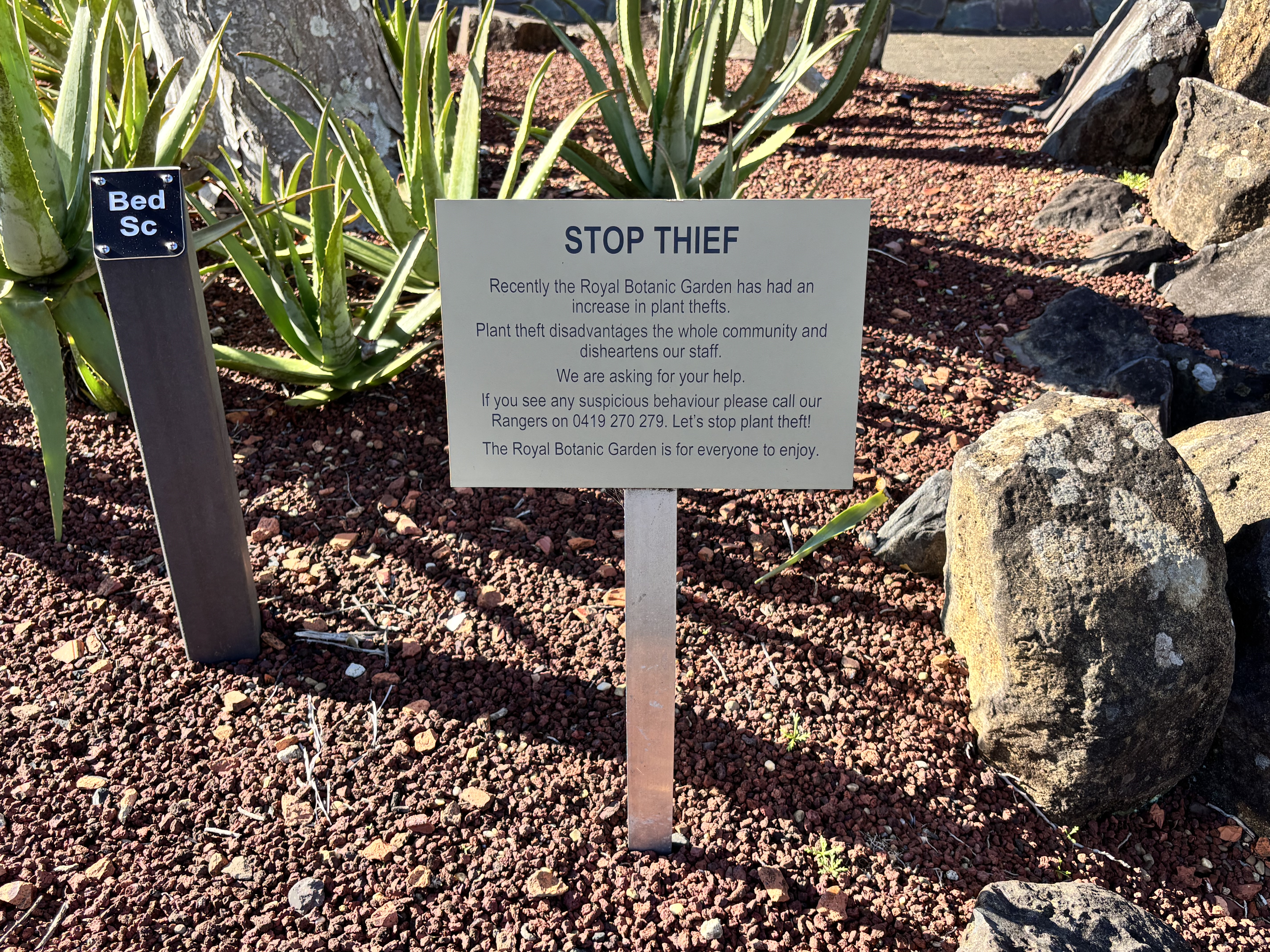 stop-thief